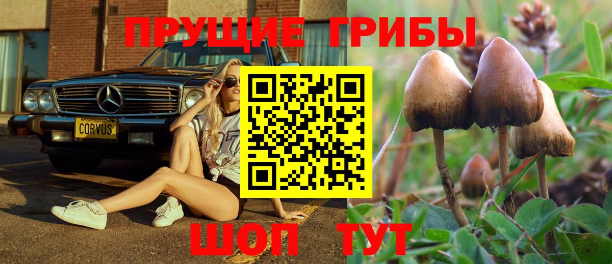 Советская Гавань  Галлюциногенные грибы MAGIC MUSHROOMS  Вход с VPN 